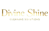 Devine Shine Cleaning Solutions - Home